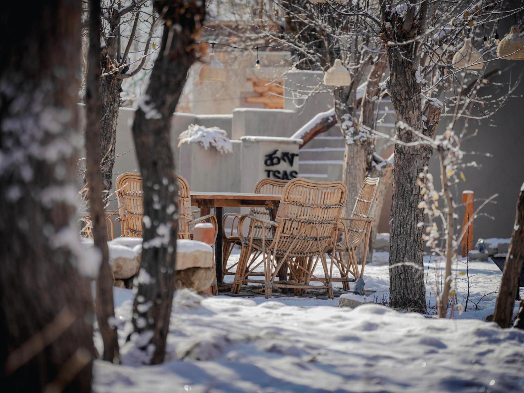 Dolkhar Resort Leh Bagian luar foto